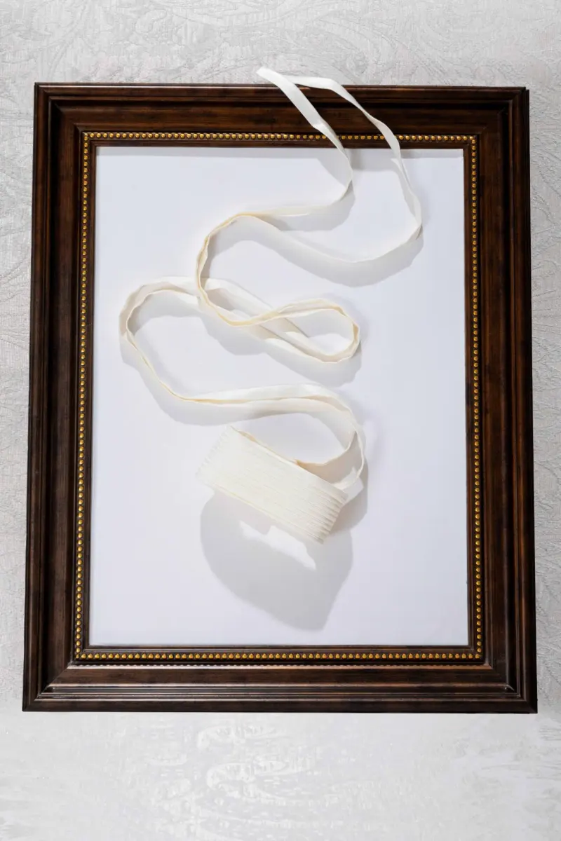 Silk Choker — original WHITE ANT photograph 1